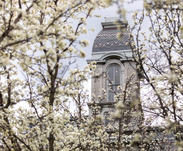 White flowering trees in front of The Hall of Languages bloom and frame one of the towers.